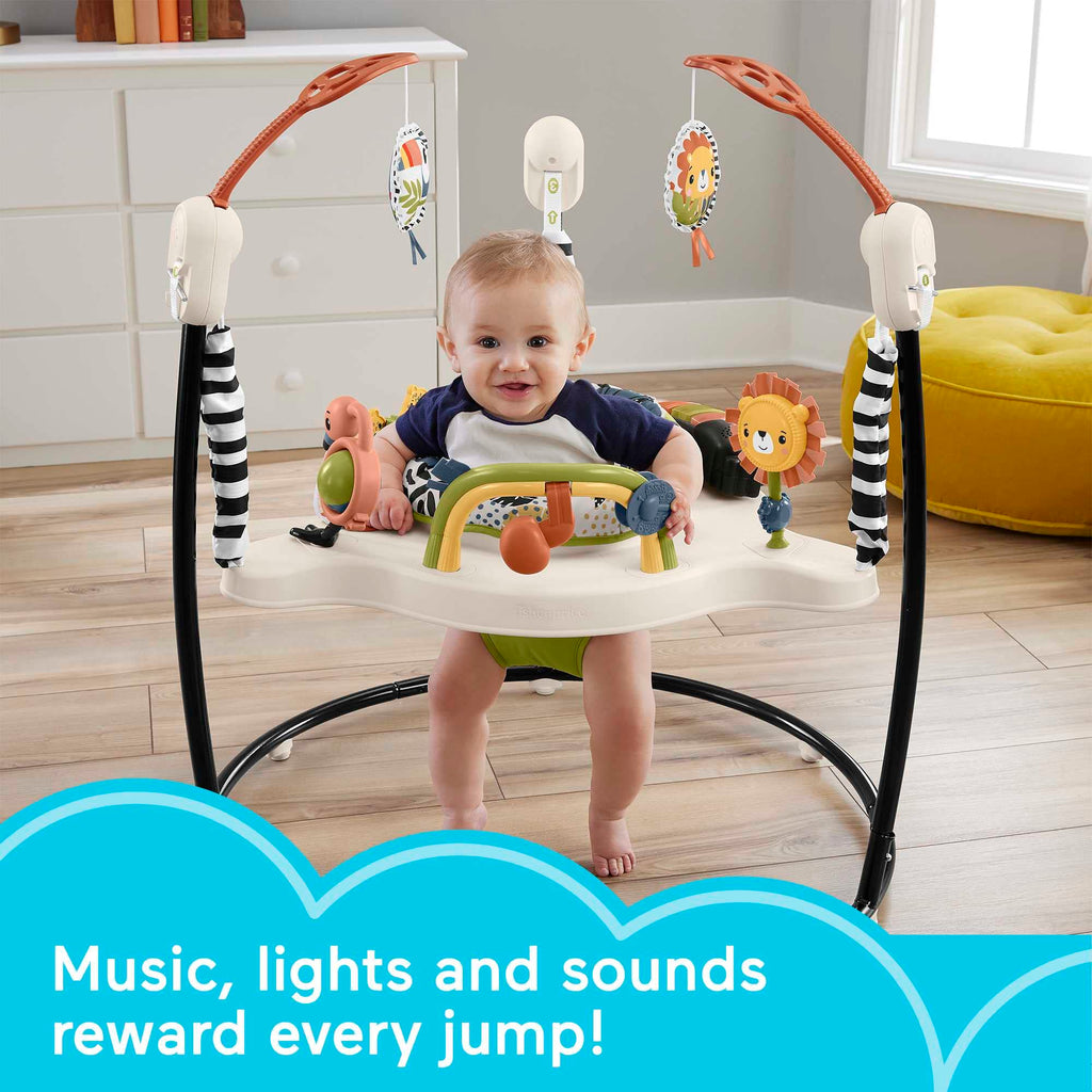 Fisher Price Jumperoo Activity Interactive Paradise